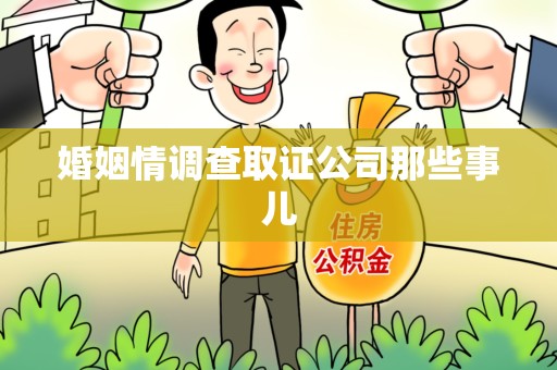 涵江婚姻情调查取证公司那些事儿