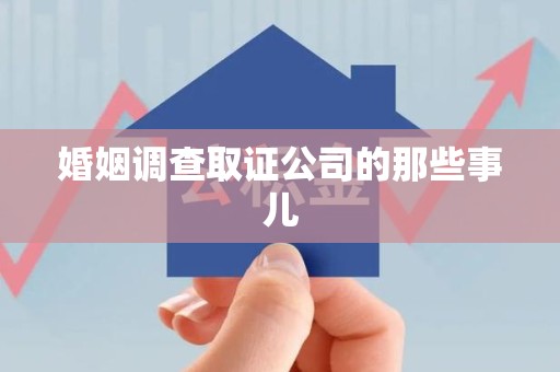 涵江婚姻调查取证公司的那些事儿