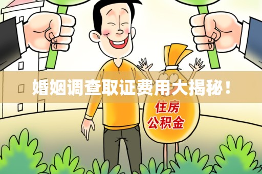 涵江婚姻调查取证费用大揭秘！