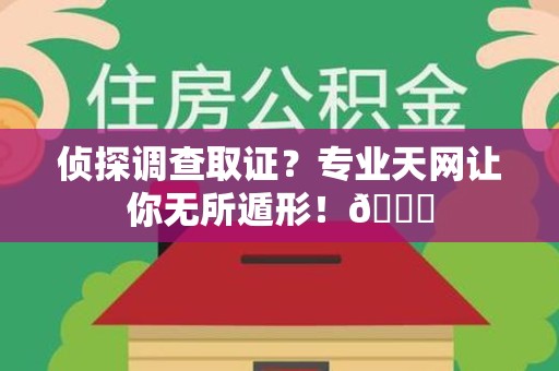 涵江侦探调查取证？专业天网让你无所遁形！😎