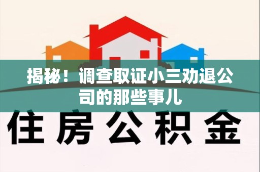 涵江揭秘！调查取证小三劝退公司的那些事儿