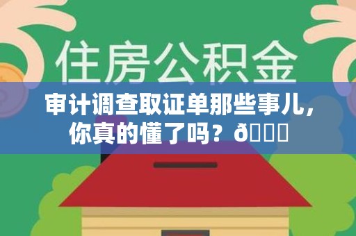 涵江审计调查取证单那些事儿，你真的懂了吗？😎